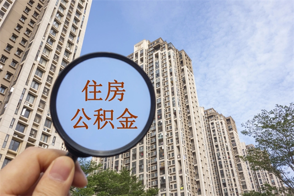 枣庄个人公积金去哪儿取（住房公积金个人到哪里提取）